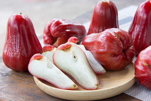 shutterstock_514775560-recipePage